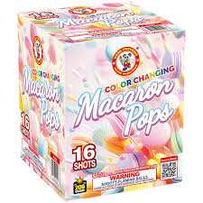 WINDA MACARON POPS- CASE 12/1